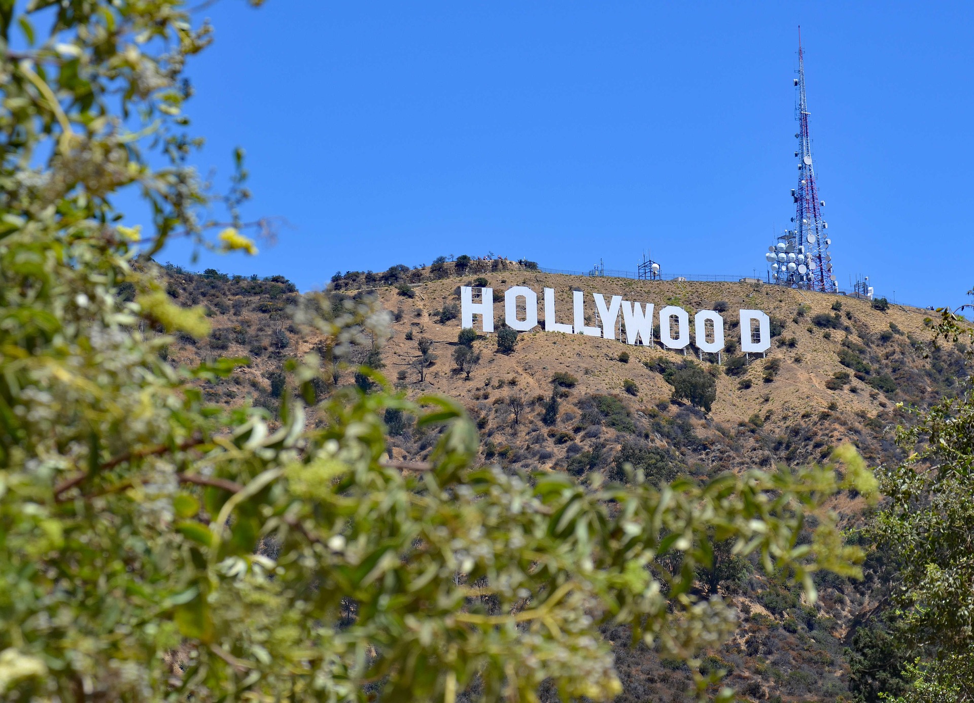 ロサンゼルスの観光地ハリウッド・サイン（Hollywood Sign）