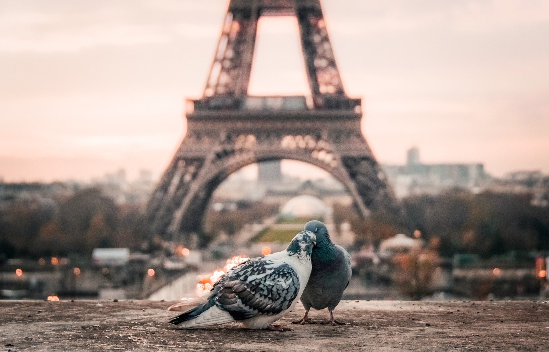 美し過ぎるフランスの華の都パリを楽しむ為に抑えておきたい９つの魅力 旅らび Com